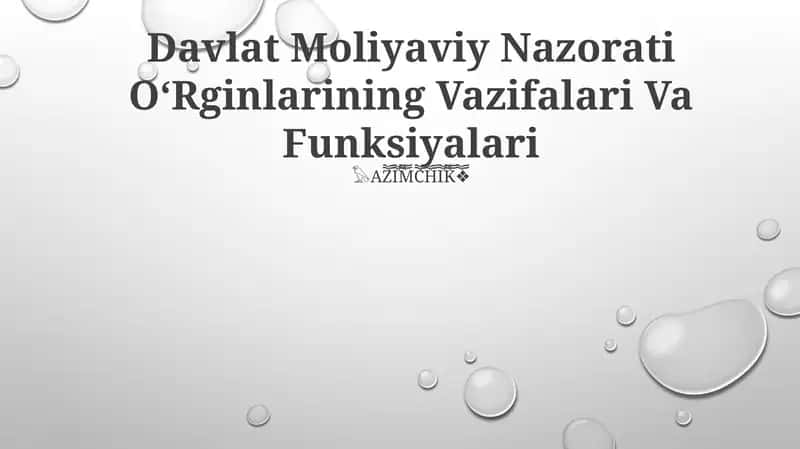 Davlat Moliyaviy Nazorati OʻRginlarining Vazifalari Va Funksiyalari