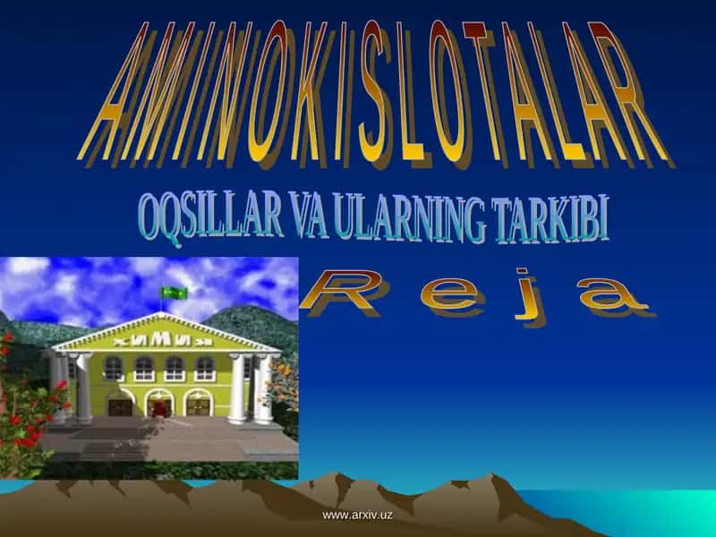 A M I N O K I S L O T A L A R