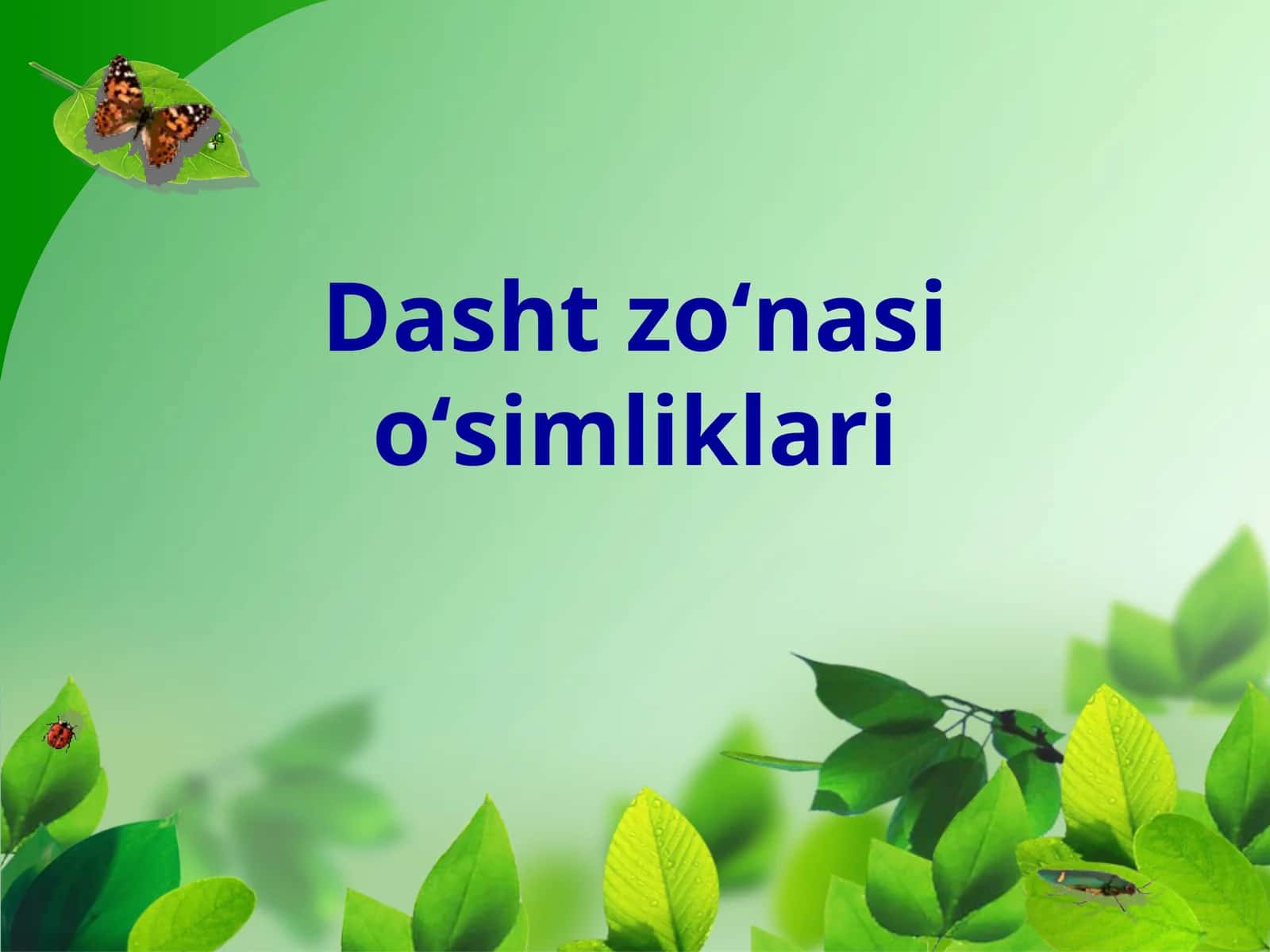 Dasht zoʻnasi oʻsimliklari