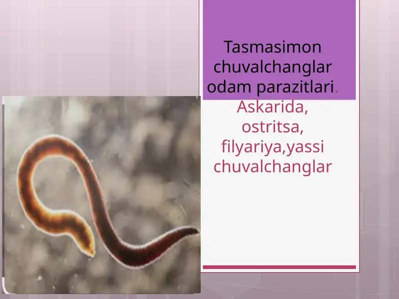 Tasmasimon chuvalchanglar odam parazitlari