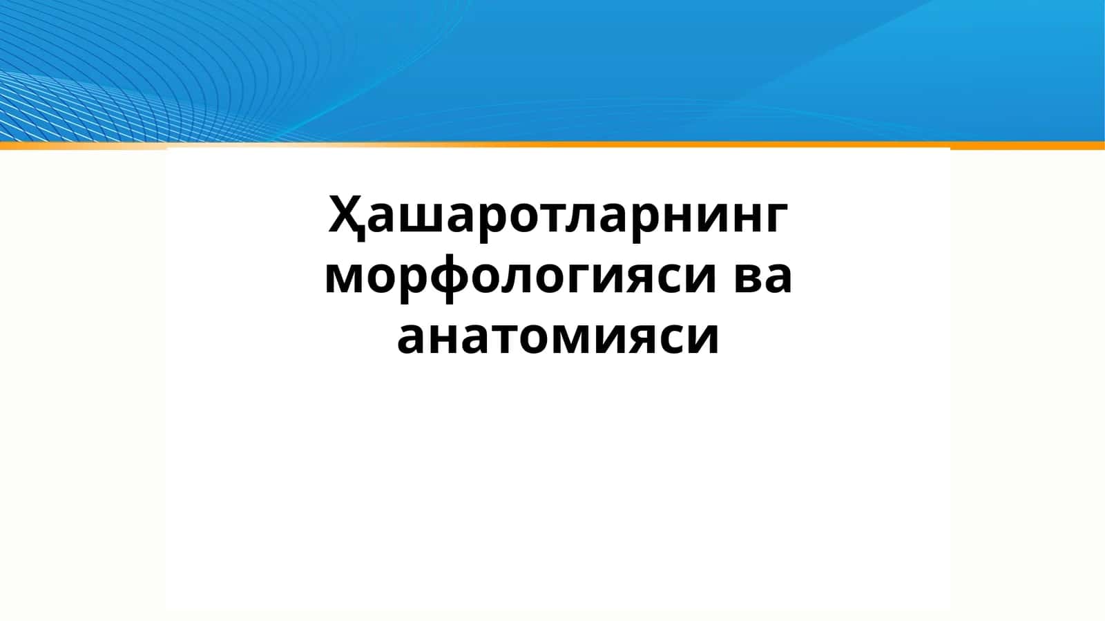 Ҳашаротларнинг морфологияси ва анатомияси