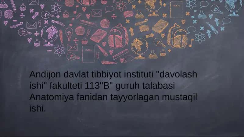 Ko'krak mushaklari