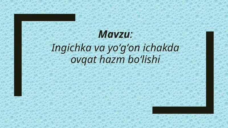 Ingichka va yoʻgʻon ichakda ovqat hazm boʻlishi