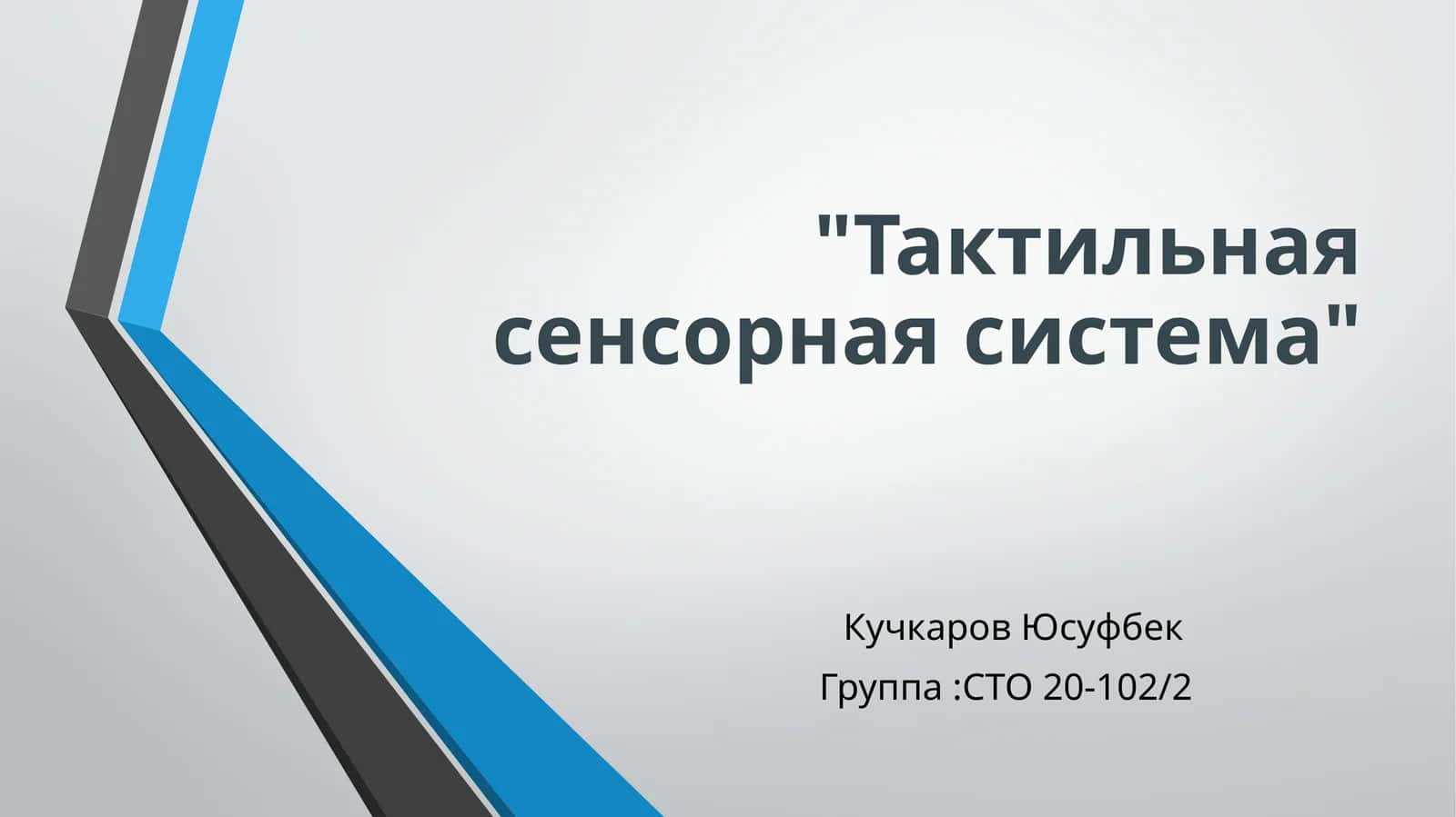 Тактильная сенсорная система