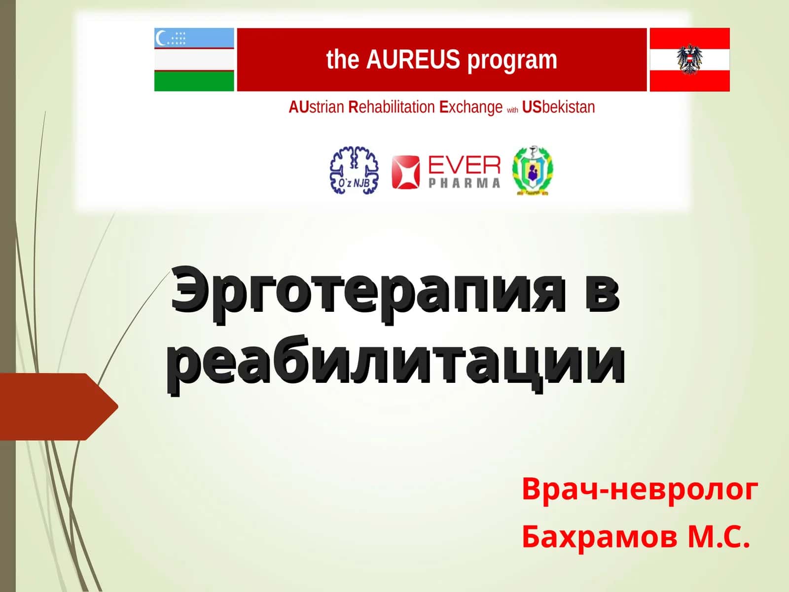 Эрготерапия в реабилитации