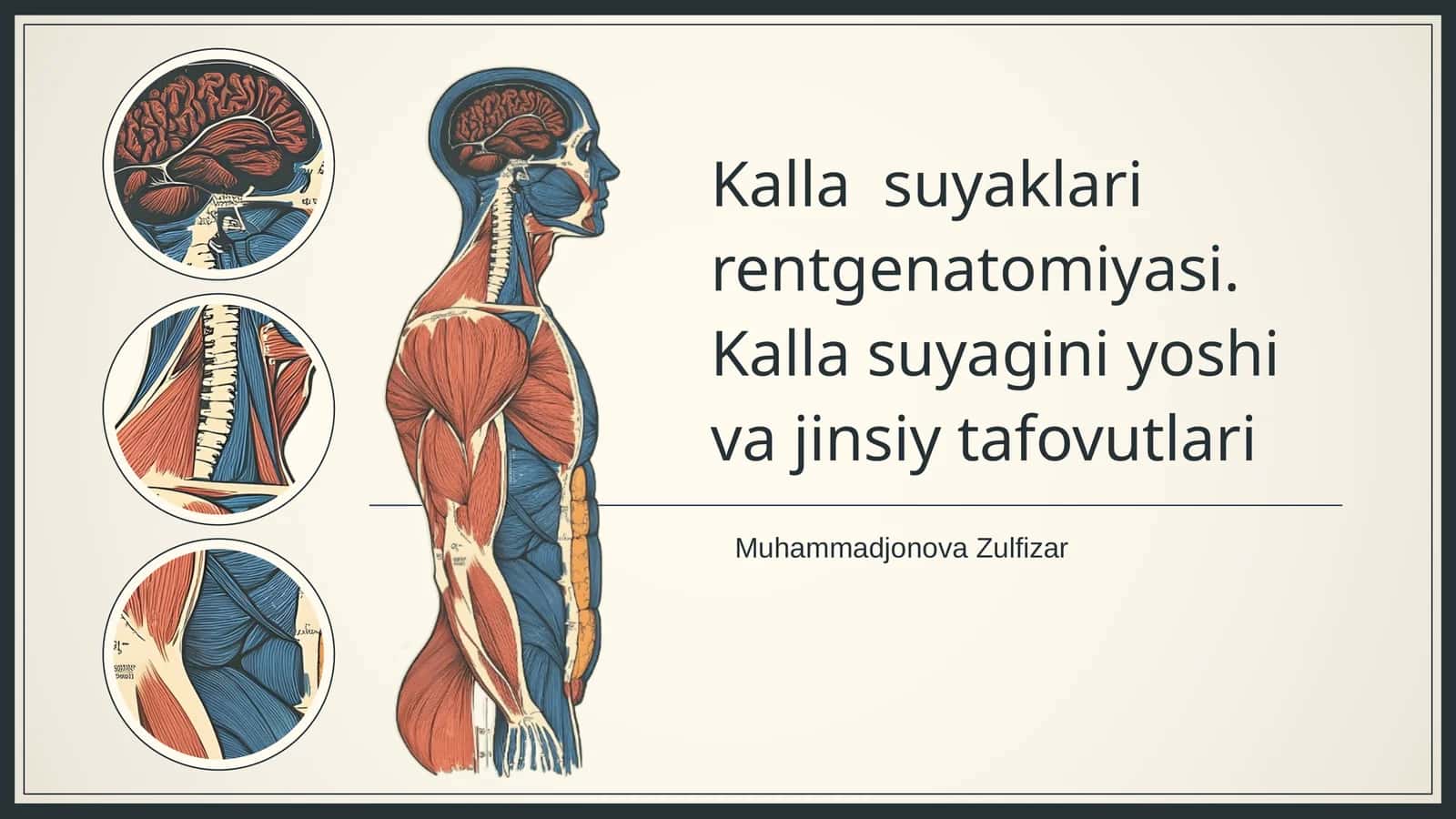 Kalla suyaklari rentgenatomiyasi