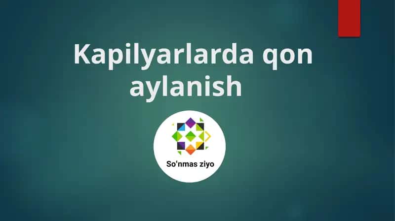 Kapilyarlarda qon aylanish