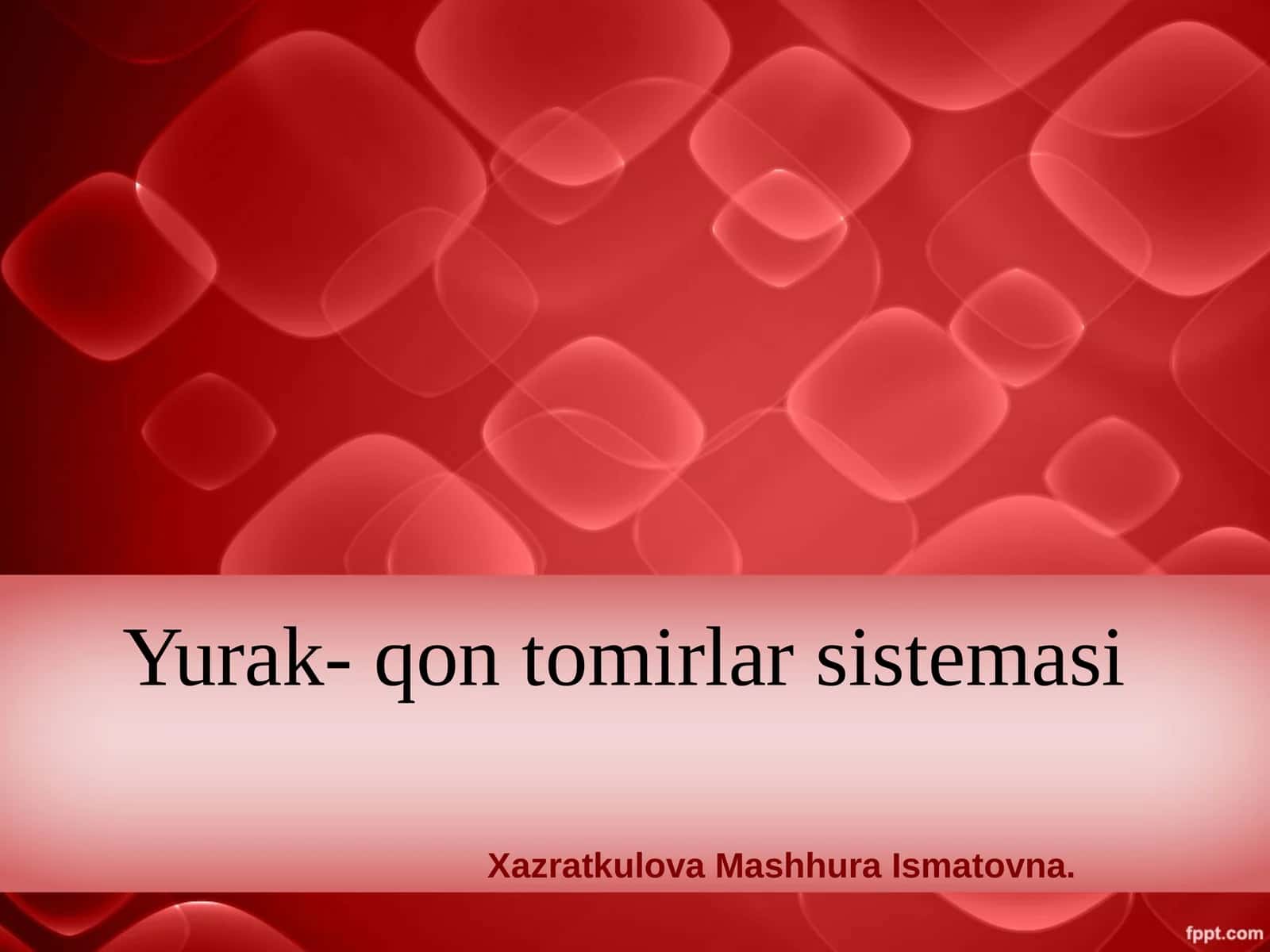 Yurak-qontomirlar sistemasi