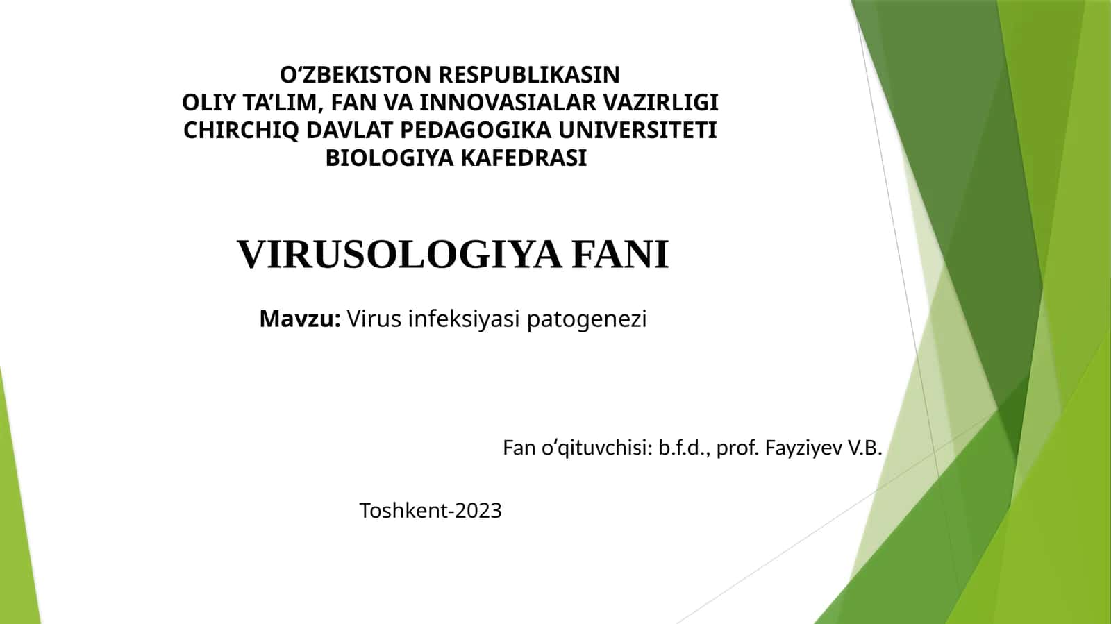 Virusinfeksiyasi patogenezi