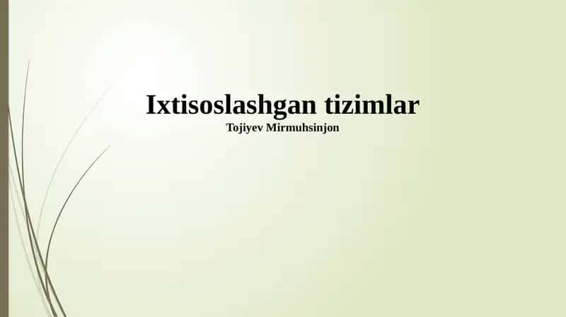 Ixtisoslashgan tizimlar