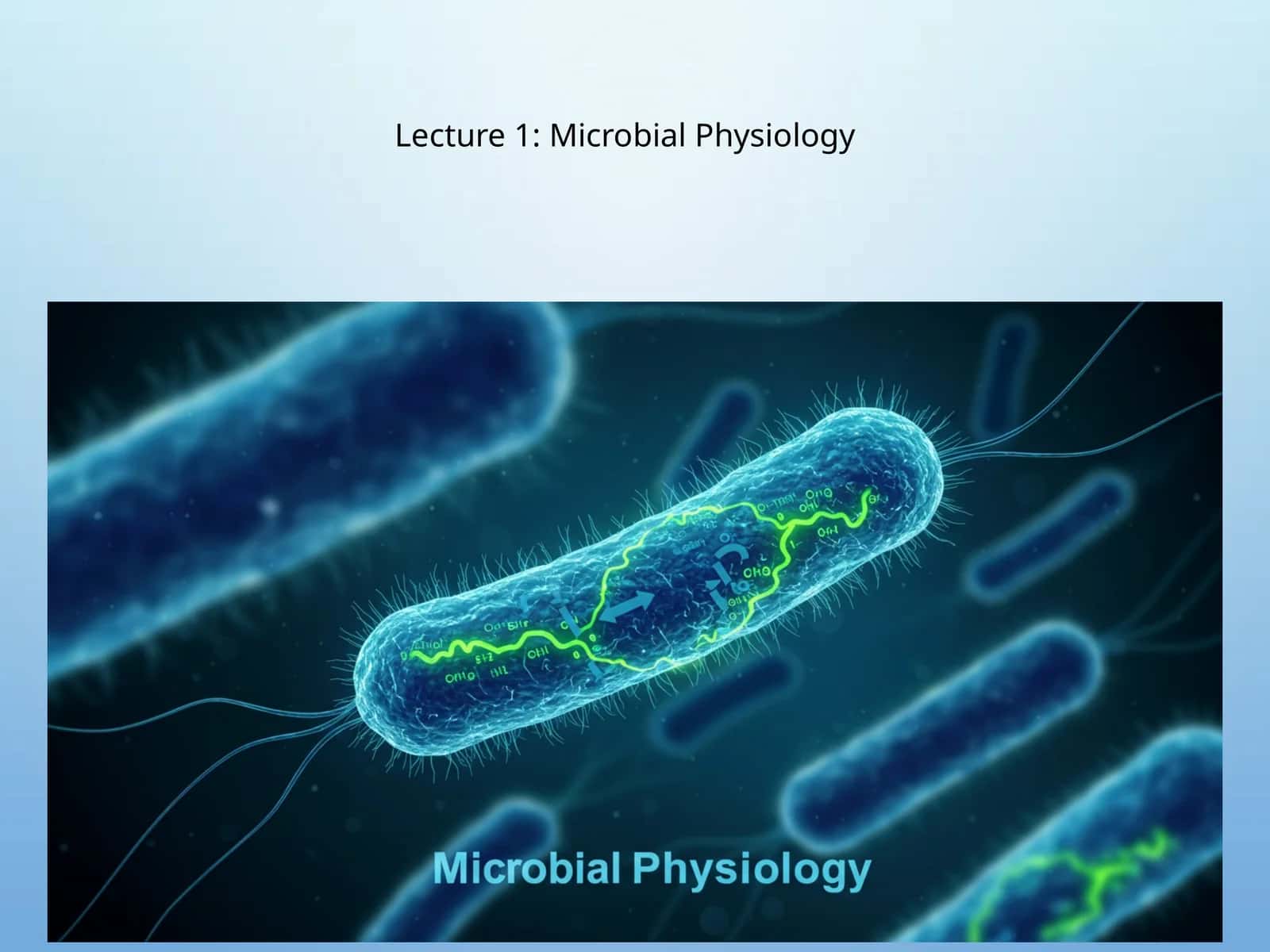 Mikrobiologik fiziologiya