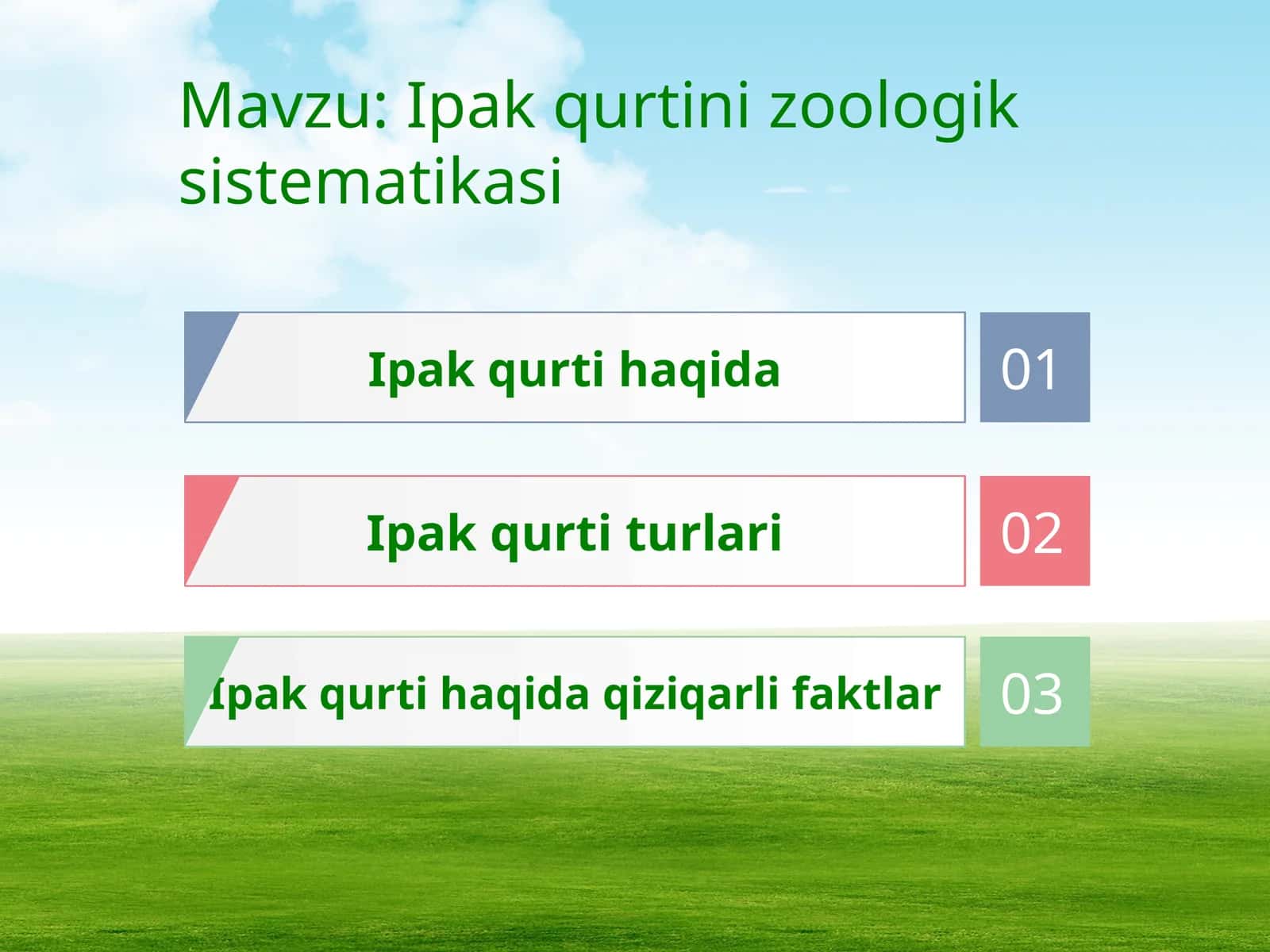 Ipak qurti haqida