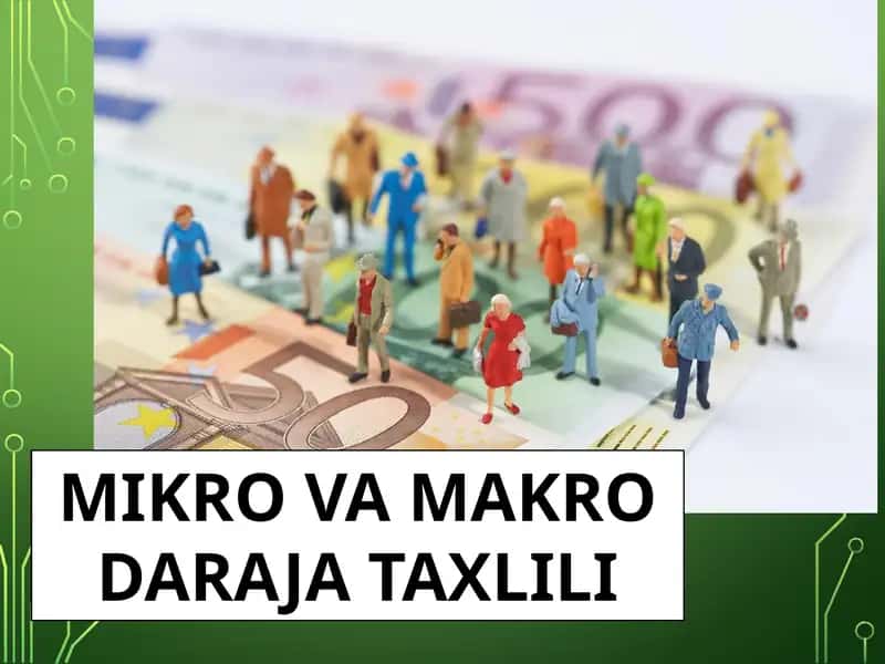MIKRO VA MAKRO DARAJA TAXLILI