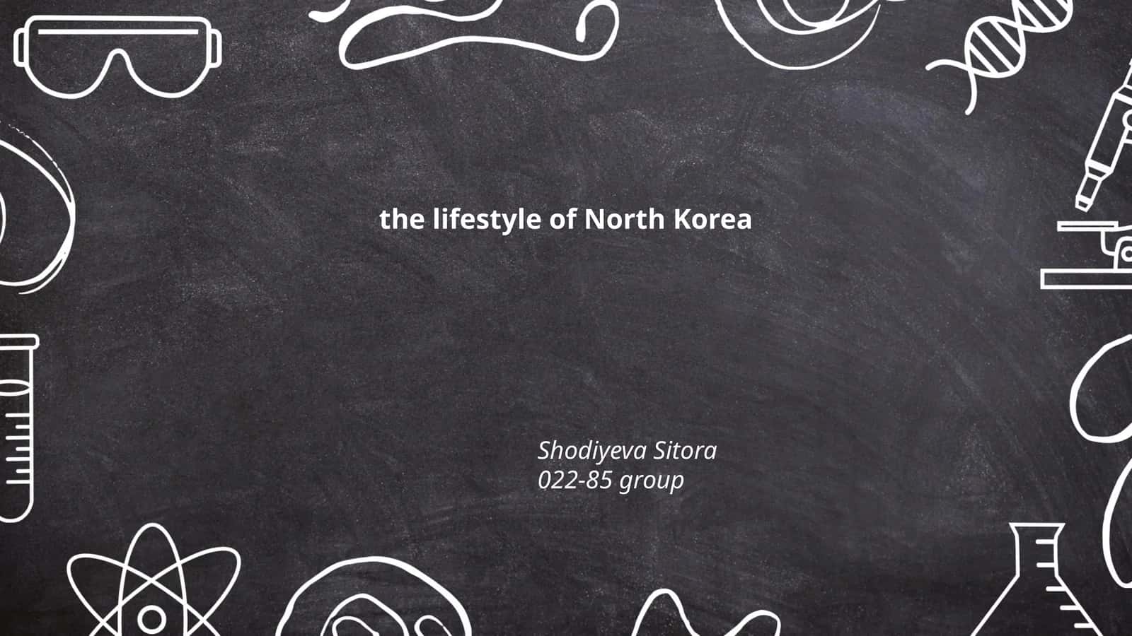 North Korea living conditions