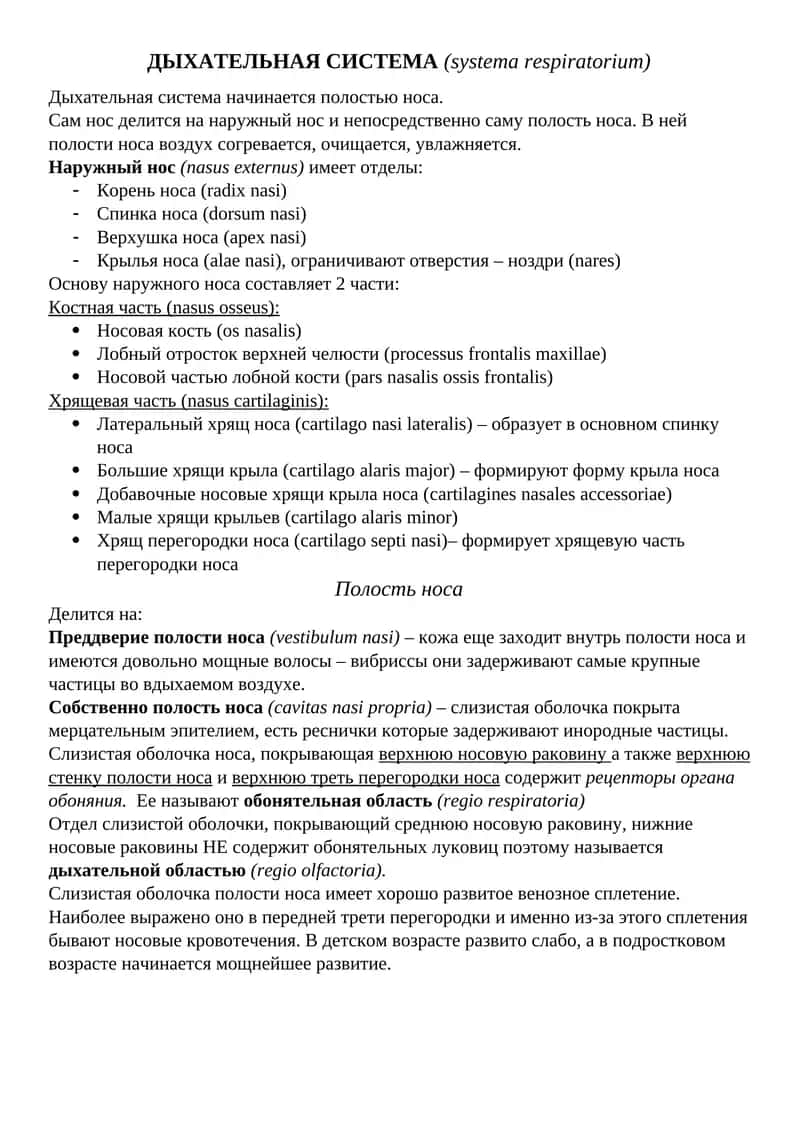 ДЫХАТЕЛЬНАЯ СИСТЕМА