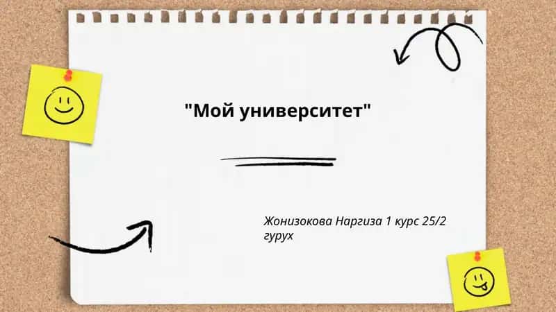 Мой университет