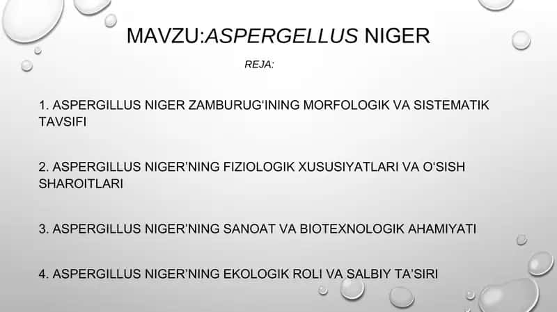 Aspergellusniger