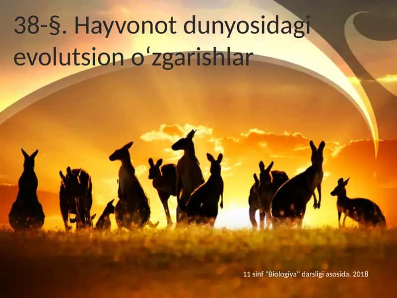 Hayvonot dunyosidagi evolutsion o‘zgarishlar