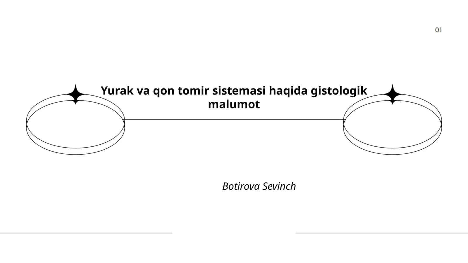 Yurak va qon tomir sistemasi haqida gistologik malumot