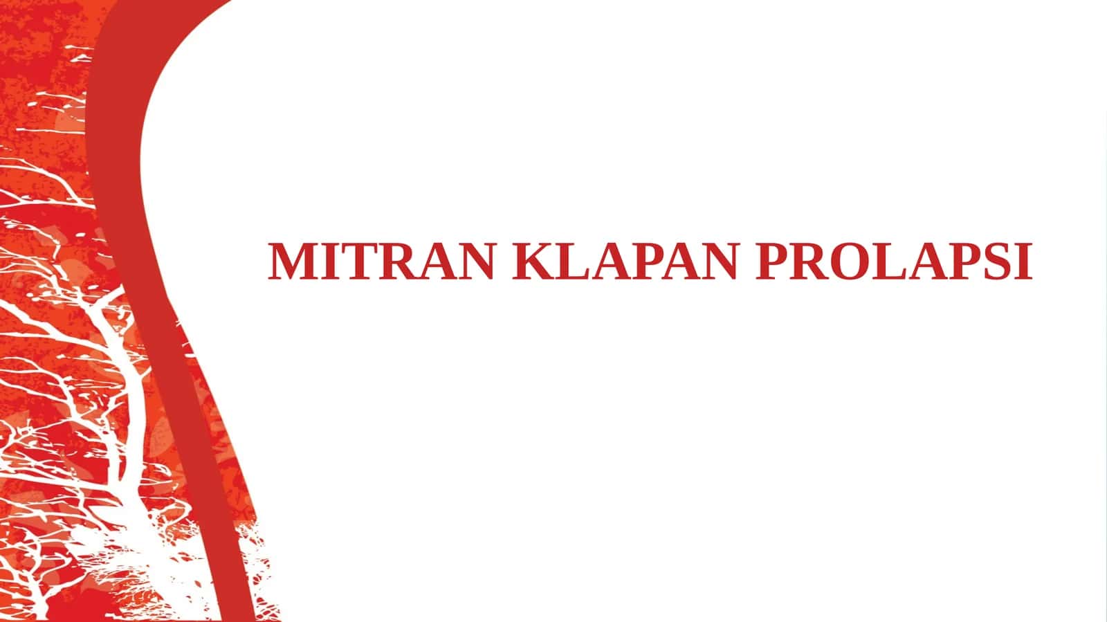MITRAN KLAPAN PROLAPSI