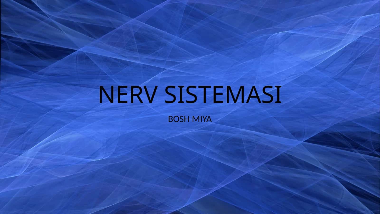 NERV SISTEMASI