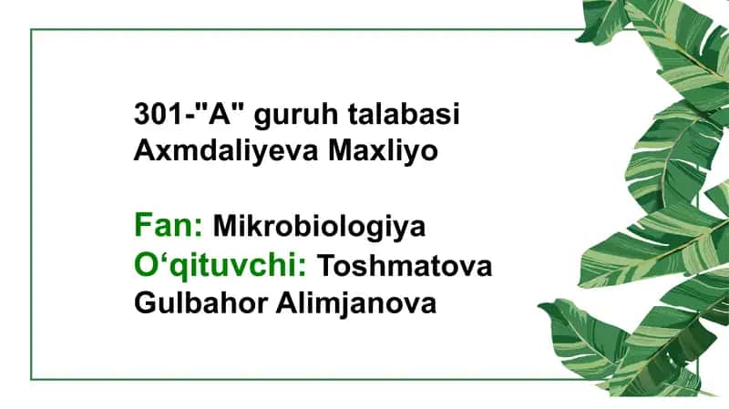 Botulizm qoʻzgʻatuvchisi