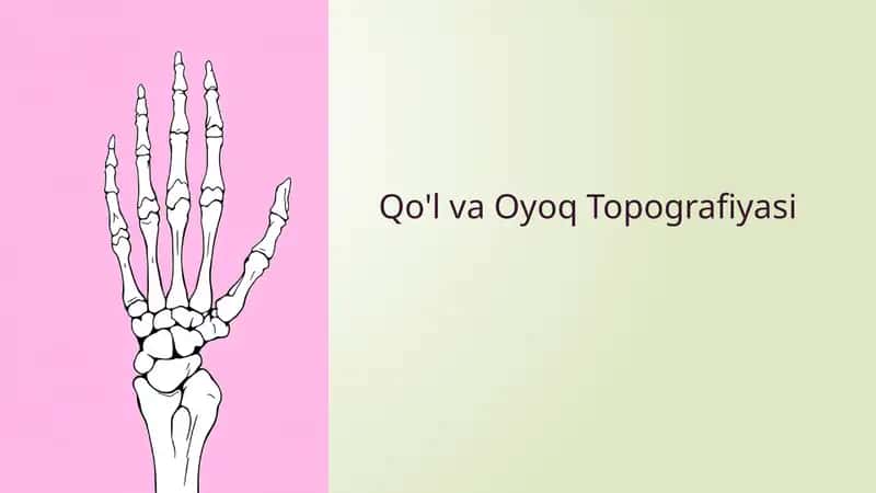 Qo'lva Oyoq Topografiyasi