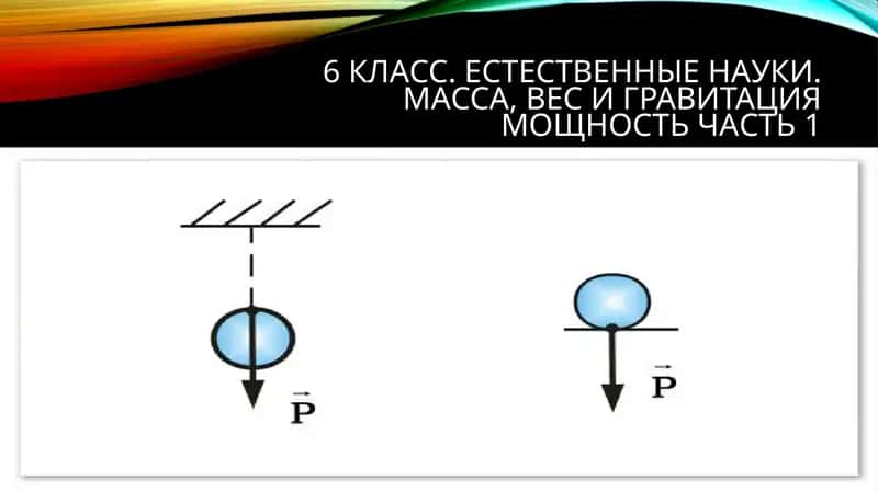 6 класс.Естественныенауки. Масса,весигравитациямощностьчасть 1