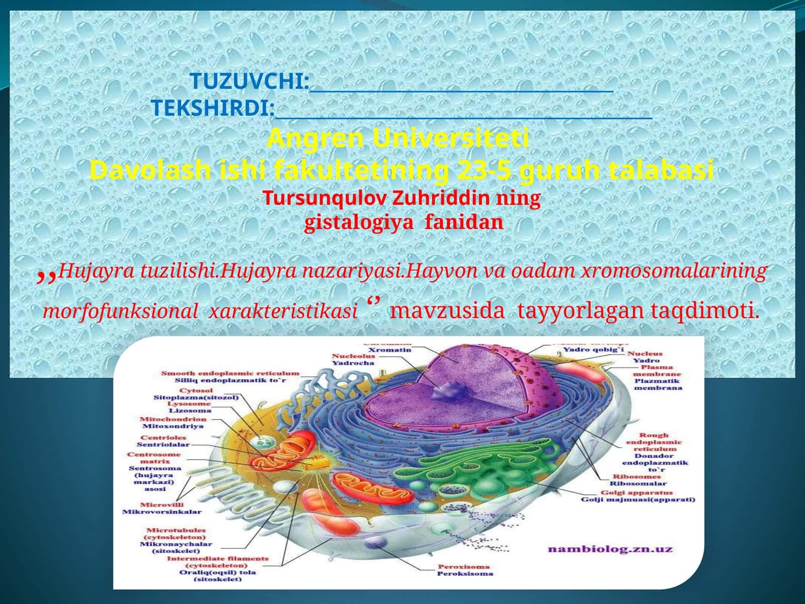 Hujayratuzilishi, Hujayranazariyasi, O’simlikhujayrasi, Hayvonvaodamxromosomalariningmorfofunksionalxarakteristikasi