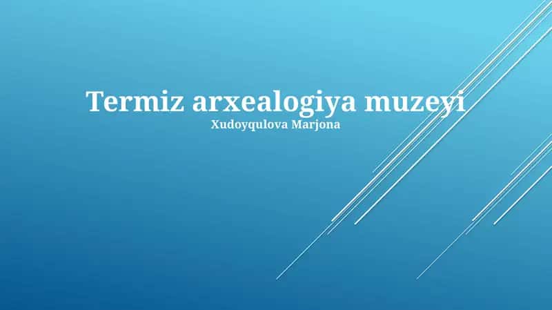 Termiz Arxeologiya Muzeyi