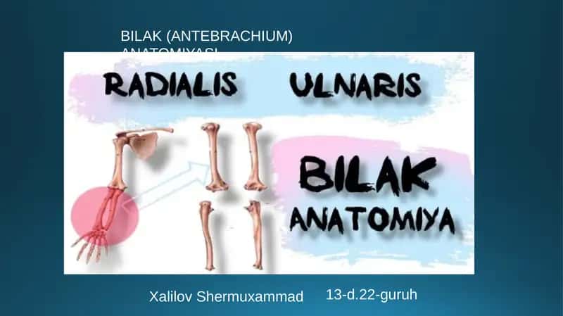 bilak anatomiyasi tranvatologiya fanidan