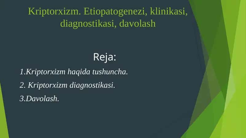 Kriptorxizm