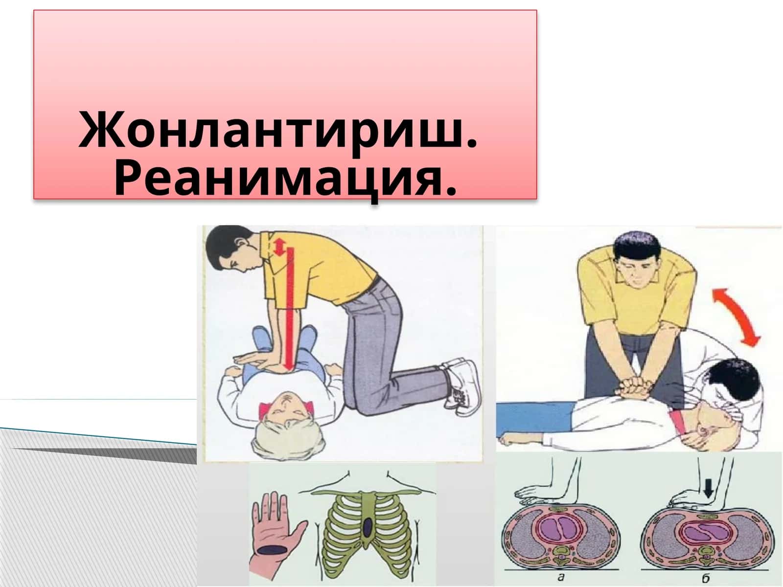 Жонлантириш. Реанимация