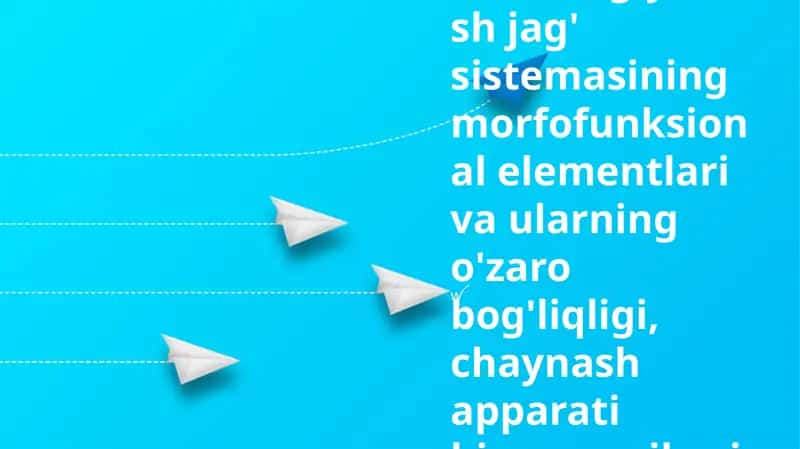 Gnatalogiya.Tish jag' sistemasining morfofunksional elementlari va ularning o'zaro bog'liqligi, chaynash apparati biomexanikasi