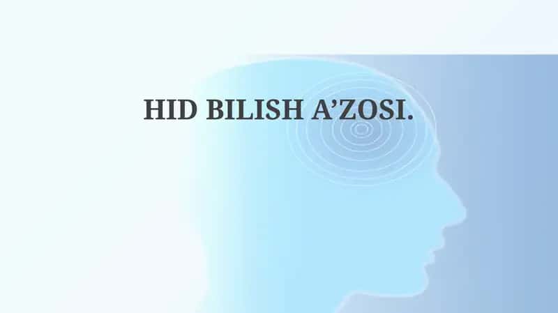 Ta'm Bilish Organining Tuzilishi va Fiziologiyasi