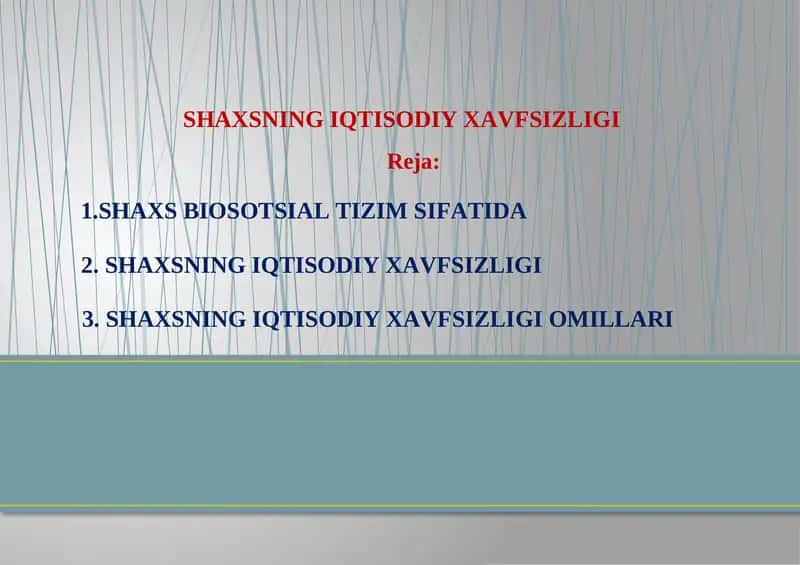 SHAXSNING IQTISODIYXAVFSIZLIGI