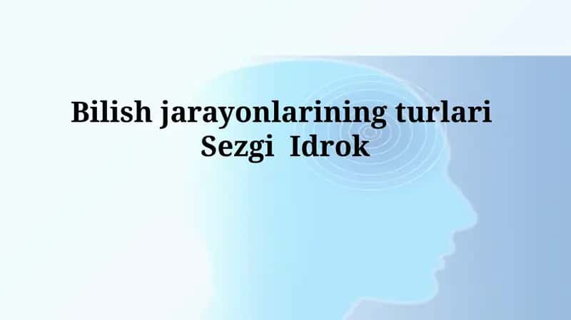 Sezgi va Idrok: Ta'riflar va Turlari