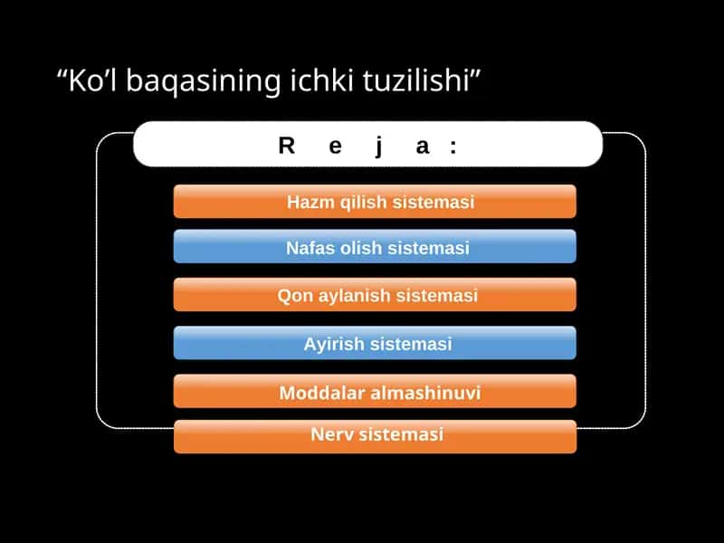 Baqaning ichki tuzilishi