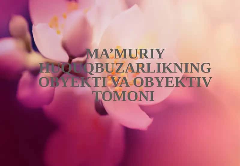 Ma’muriy huquqbuzarlikning obyekti va obyektiv tomoni