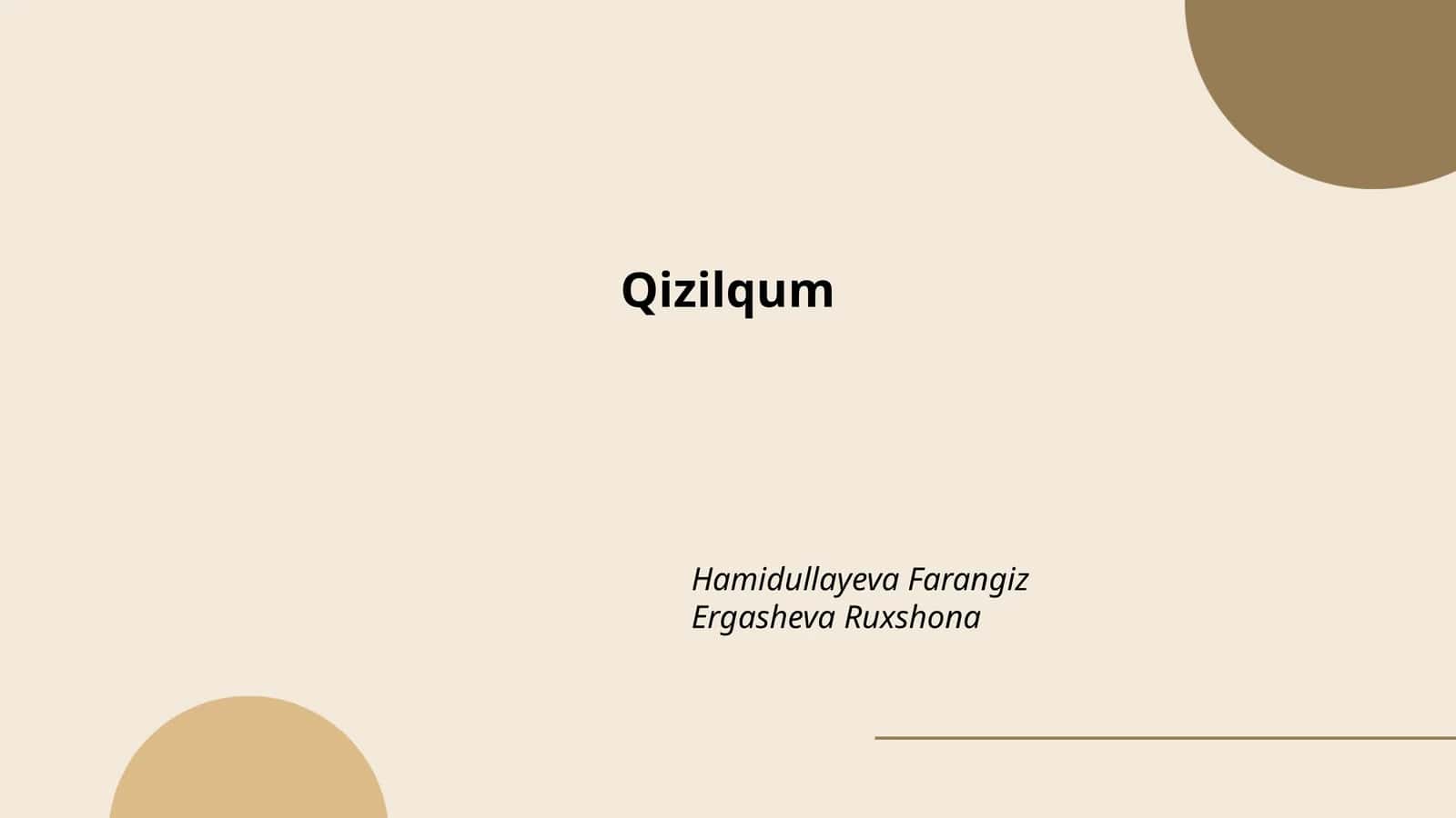 Qizilqum