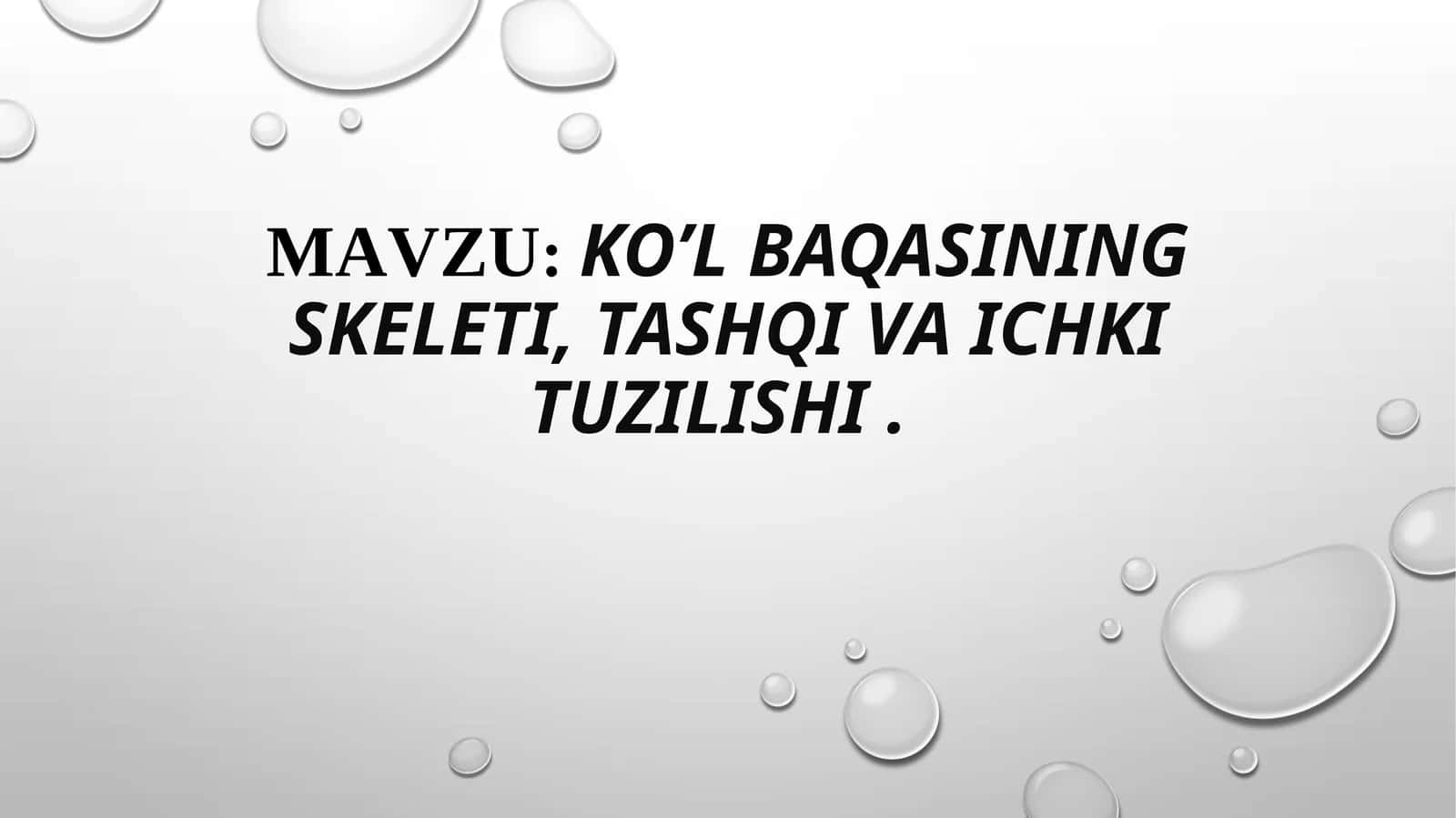 Ko’l baqasining skeleti, tashqi va ichki tuzilishi