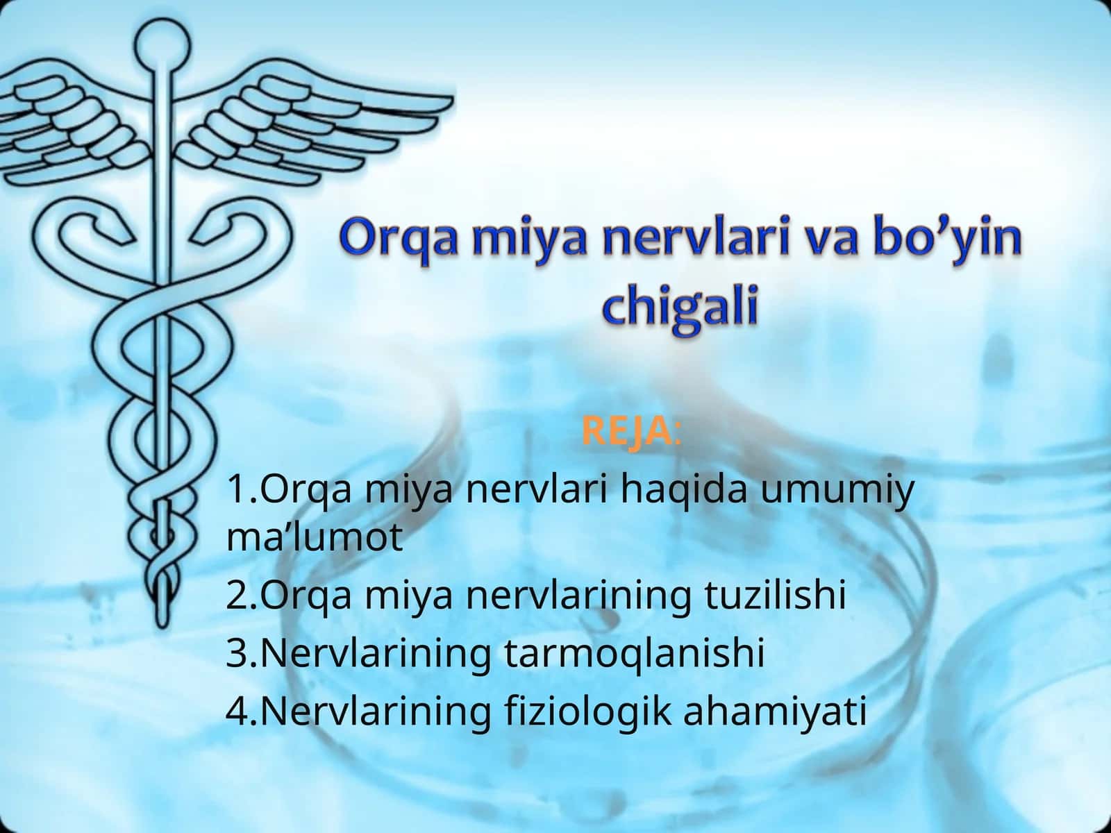 ORQA MIYA NERVLARI