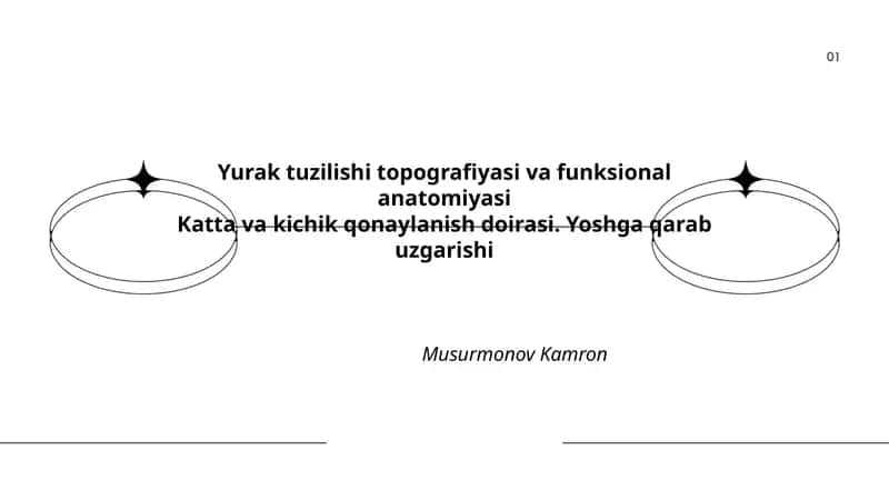 Yurak tuzilishi topografiyasi va funksional anatomiyasi