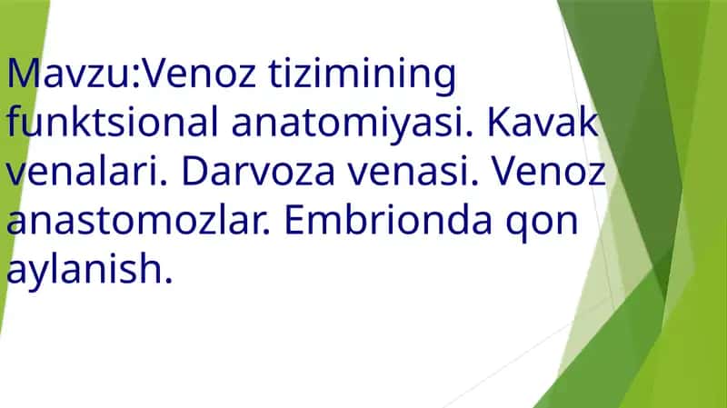 Venoz tizimining funktsional anatomiyasi