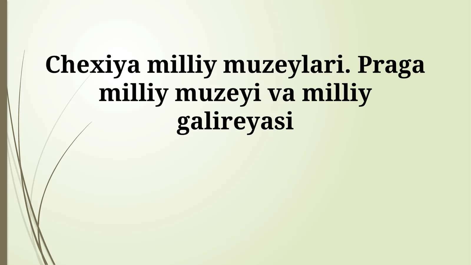 Chexiya milliy muzeylari. Praga milliy muzeyi va milliy galireyasi