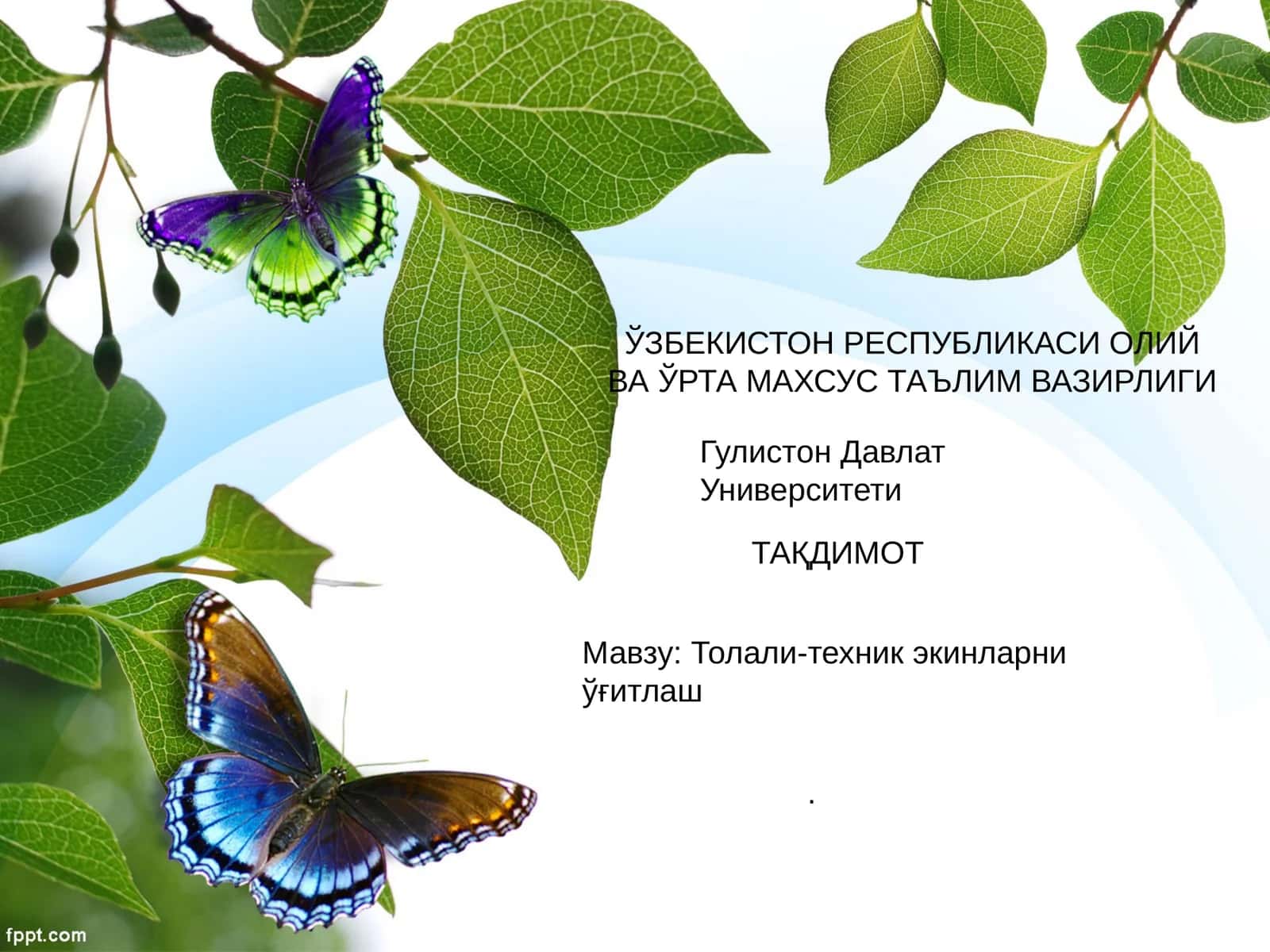 Ғўза - қимматбахо техникавий экин