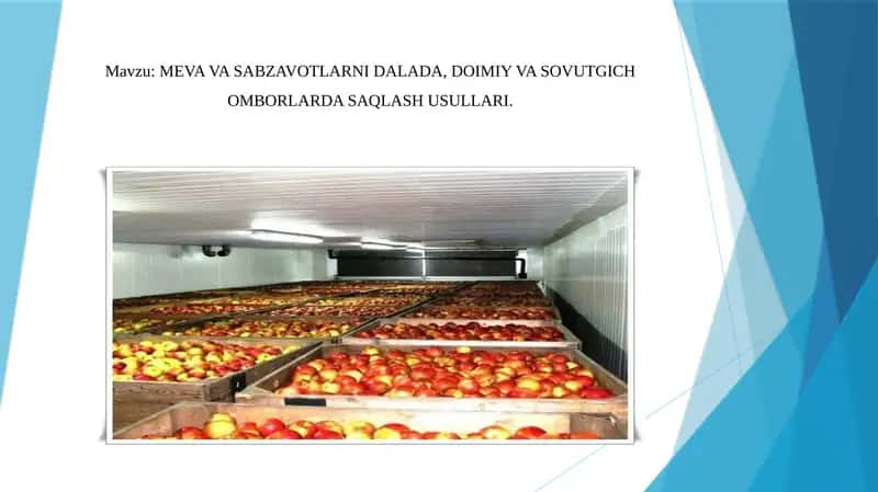 MEVAVA SABZAVOTLARNI DALADA, DOIMIY VA SOVUTGICH OMBORLARDA SAQLASHUSULLARI