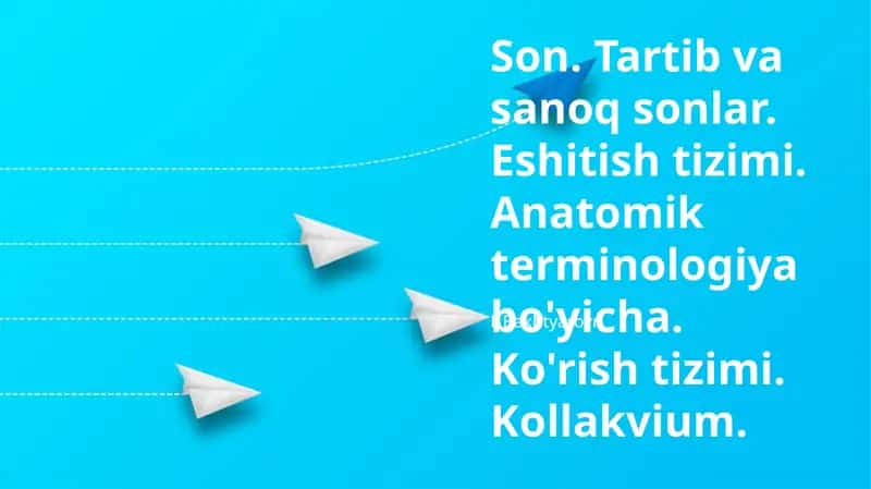 Son. Tartib va sanoq sonlar. Eshitish tizimi. Anatomik terminologiya bo'yicha. Ko'rish tizimi. Kollakvium