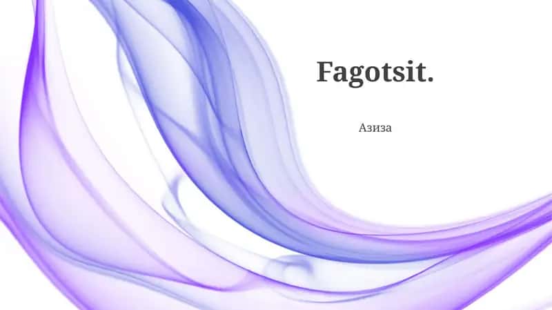 Fagotsit
