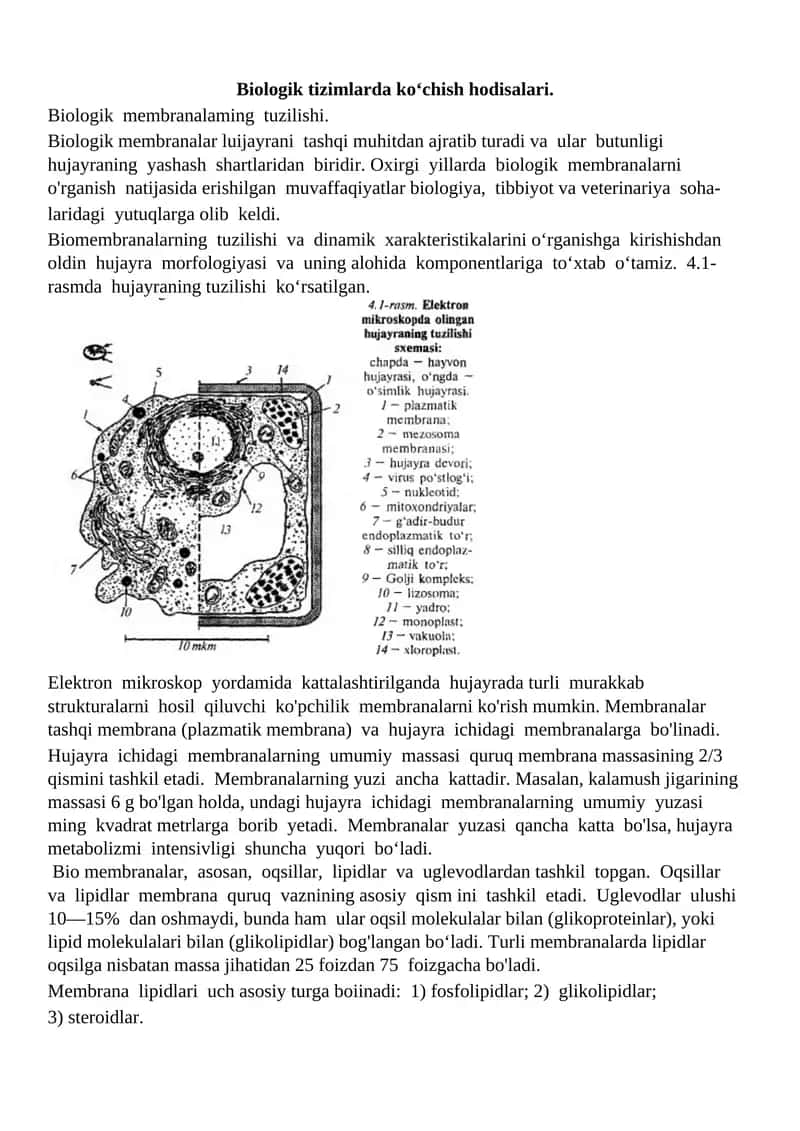Biologik membranalar tuzilishi